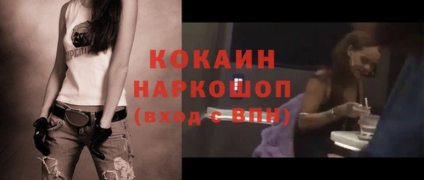 PSILOCYBIN Покачи