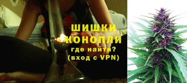 PSILOCYBIN Покачи